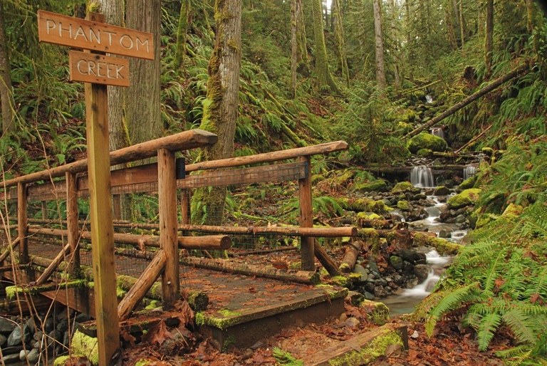 dosewallips bob barb.jpeg dosewallips bob barb.jpeg