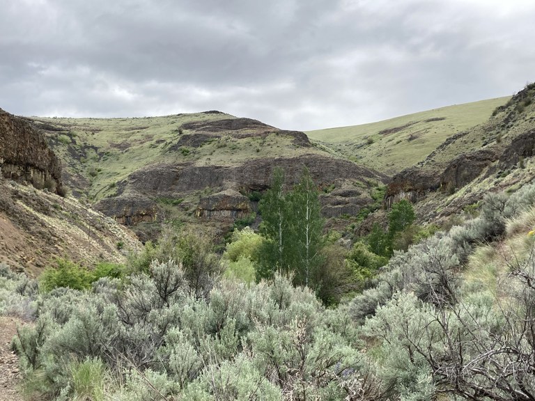Douglas Creek Canyon - North by jordan9