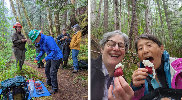 Crew members on a backcountry response team on the Dry Creek trail distributing and eating strawberries with whipped cream. Photo by Dawn Rorvik.