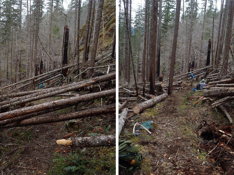 duckabush-2015-before-and-after_meagan-mackenzie.jpg