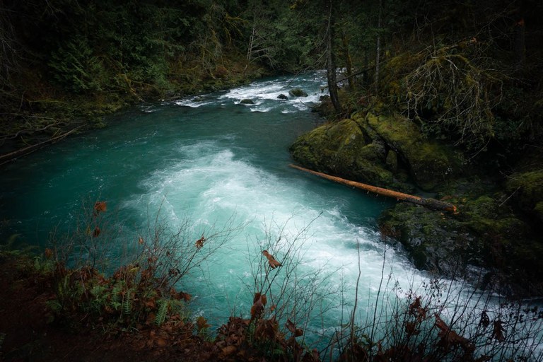A bend in the turquoise river surrounded by mossy trees in a dark forest.