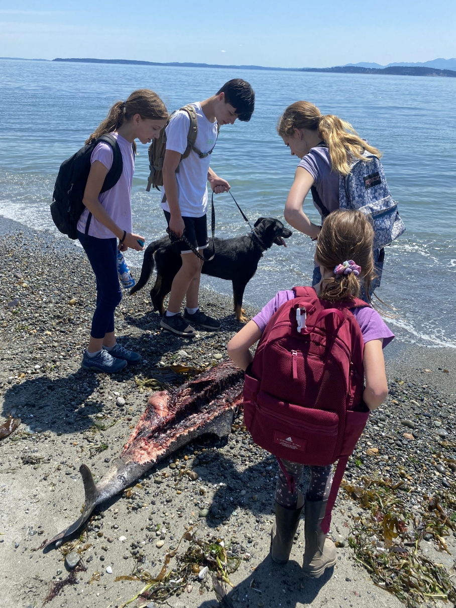 Ebey's Landing. Photo by GoMamaCook. Four children and a leashed dog look at a washed up fish carcass on the beach at Ebey's Landing. Photo by GoMamaCook.