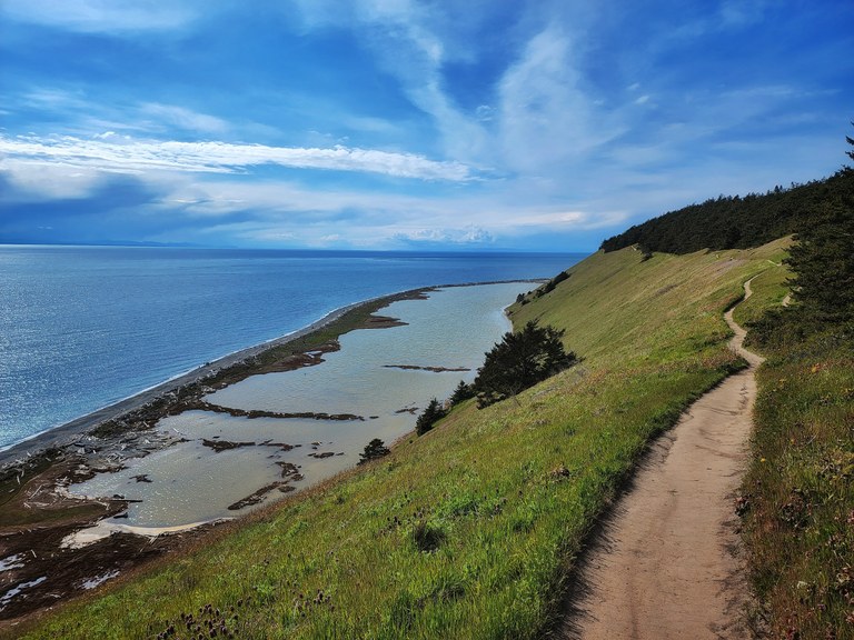 The view from a narrow dirt trail from a bluff above the Puget Sound. Sparkling waters and beach are far below.
