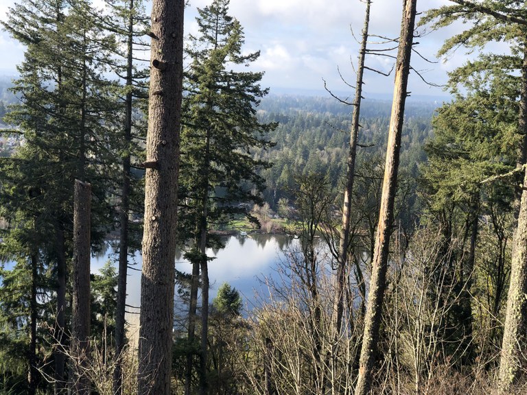 A shimmering lake through the trees from Echo Mountain at Spring Lake/Lake Desire Park. Photo by trip reporter koribe.