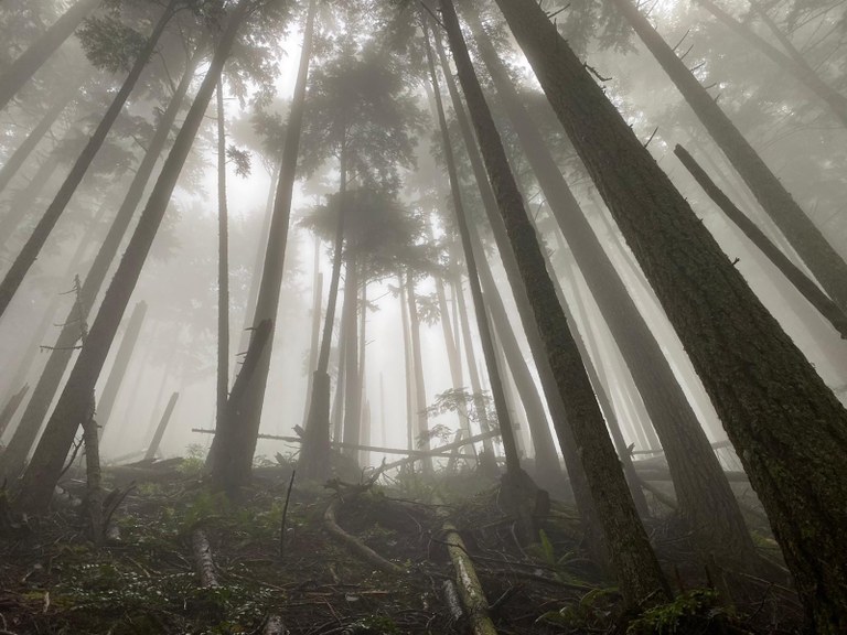 elbo creek_twopaddles.jpeg elbo creek_twopaddles.jpeg