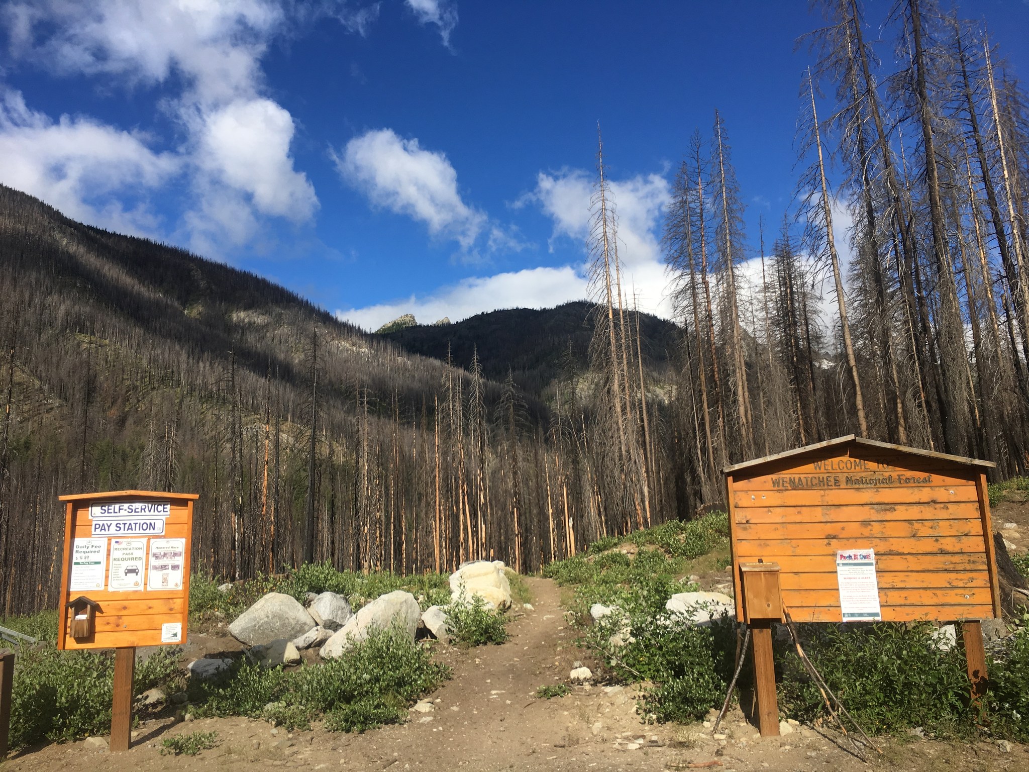 Entiat Campgrounds Set to Reopen in Time for Labor Day — Washington