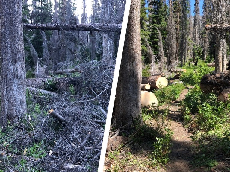 Split shot of the same section of trail: blocked by a dozen burnt trees (left) and free and clear (right)
