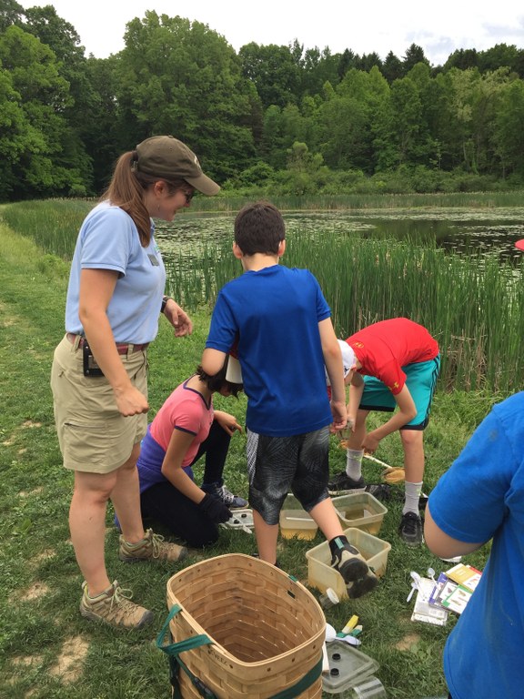 An environmental educator with a ponytail, blue polo and green baseball cap guides three children in examining pond wildlife beside a cluster of cattails.