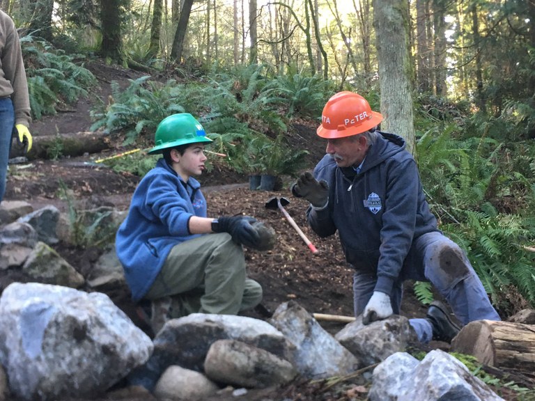 Fairhaven Forest by Arlen Bogaards (1).jpg