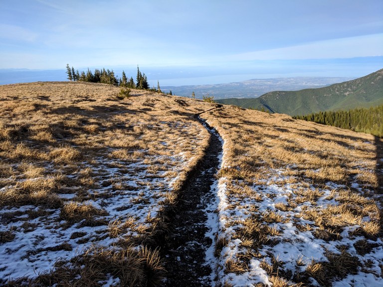 fccf0e05-4d1e-4bcc-8187-83274209280f.jpeg fccf0e05-4d1e-4bcc-8187-83274209280f.jpeg