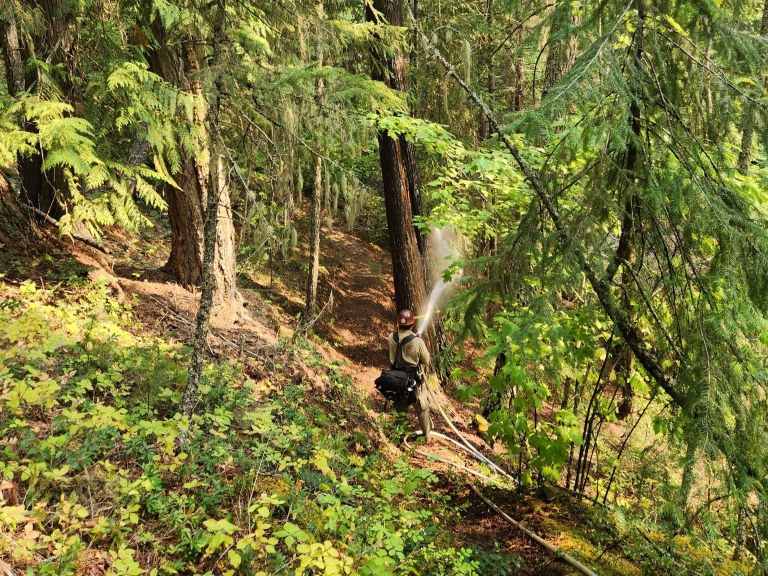 A wildland firefighter working on the Perry Fire in the North Cascades. Photo courtesy of the National Park Service. A wildland firefighter with a hose in the woods in the North Cascades putting out the Perry Fire. Photo courtesy of the National Park Service.