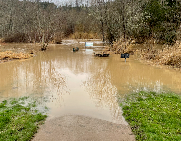 A flooded trail. 