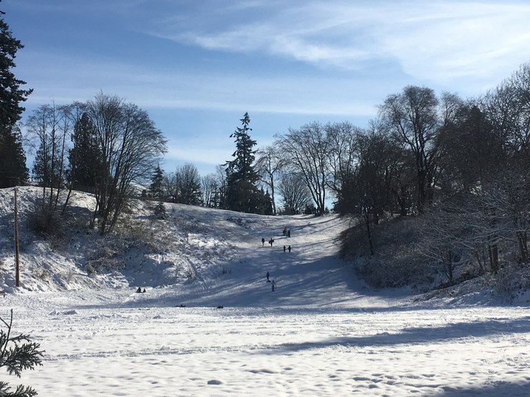 Forest Park by Must Hike Must Eat.jpeg