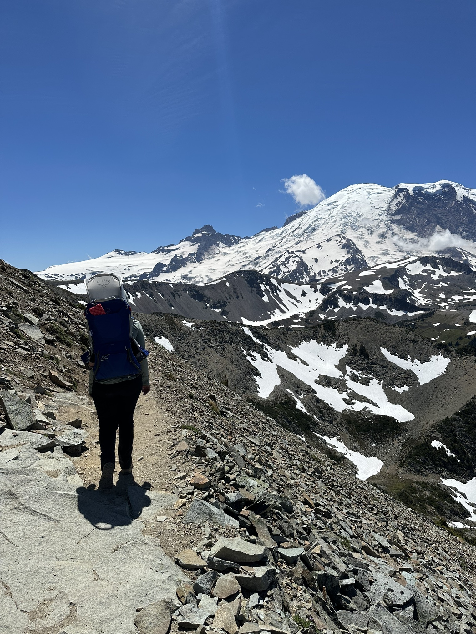 Fremont Lookout and Skyscraper Mountain. Photo by ef91. An adult hiking with a carrier with Mount Rainier in the background. Photo by ef91.