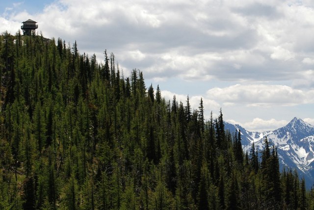 On the trail to Goat Peak Lookout near Flagg Mountain, one of the areas that could be protected by the proposed legislation.. Photo by Paul Kriloff.