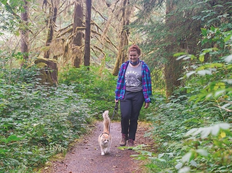 Gold Basin Mill Pond. Photo by JKlapel.jpeg Gold Basin Mill Pond. Photo by JKlapel.jpeg