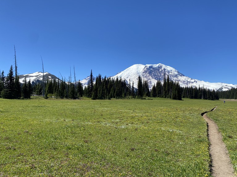 Grand Park. Photo by zieiuk. Mount Rainier and the meadow at Grand Park. Photo by zieiuk.