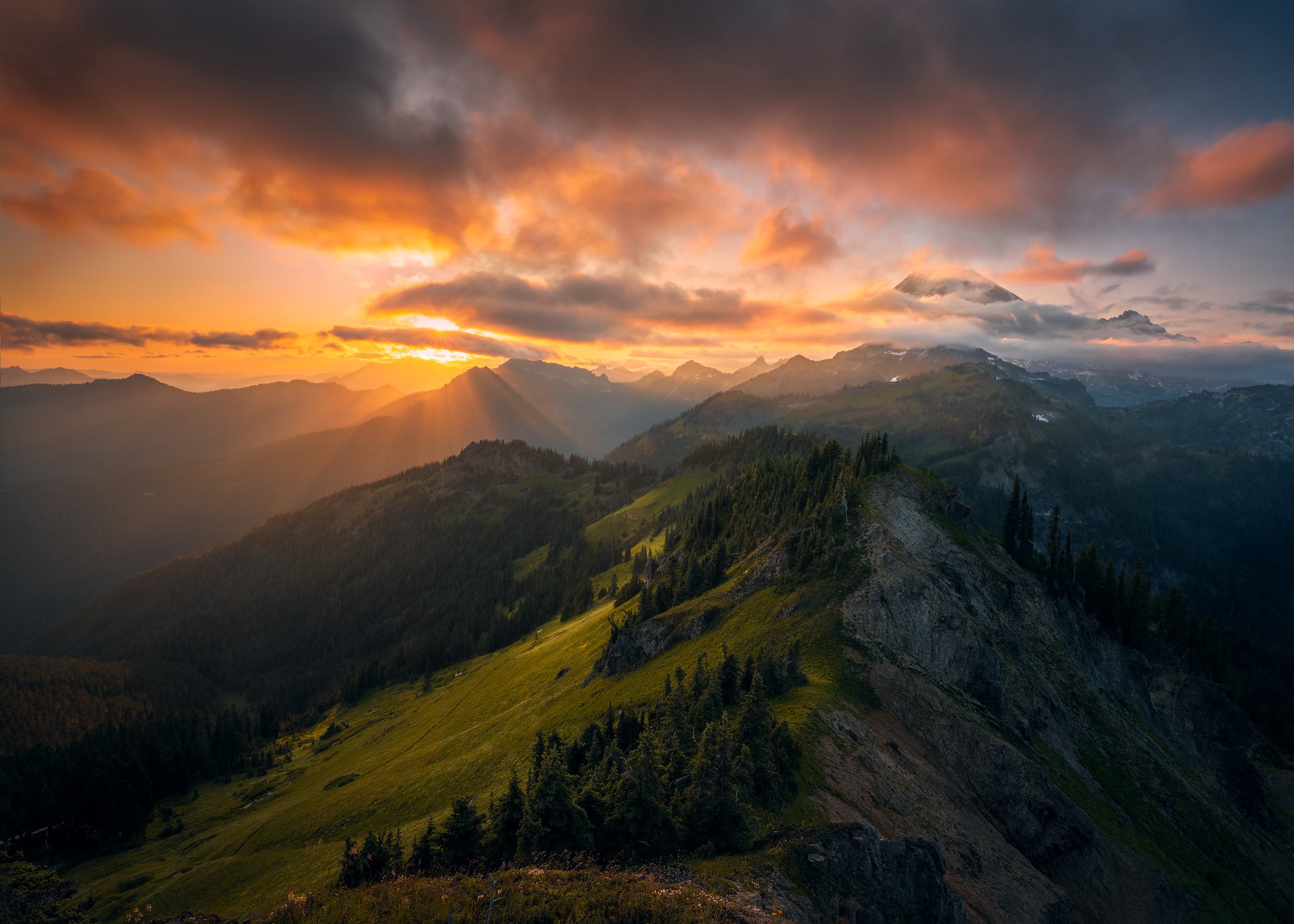 Photo by Yuriy Garnaev Photo by Yuriy Garnaev