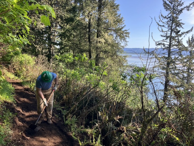 A volunteer clears a path at Cape Disappointment State Park. Photo by Cathy Donaldson. A WTA volunteer clearing a trail path at Cape Disappointment.
