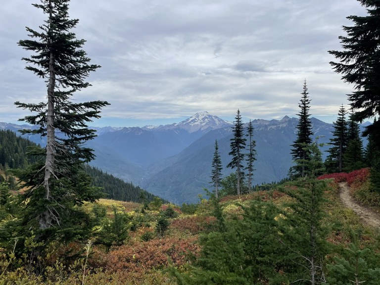 Fall colors and a view of Glacier Peak from Green Mountain. Photo by haleyrl.  