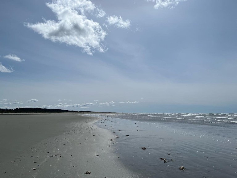 Looking down along a sandy beach with waves to the right and bluffs to the left.