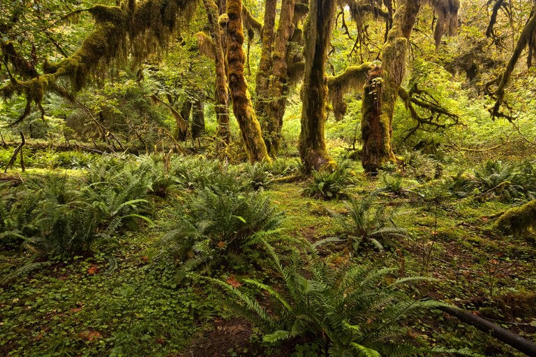 Hall of Moses. Photo by Mark Kiver.jpg