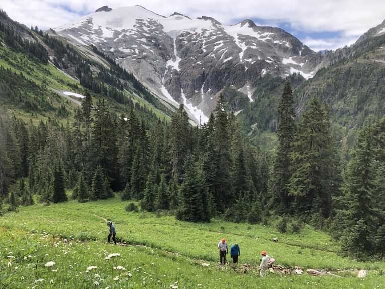 Four volunteers stand on a trail overshadowed by Mount Baker in the background on a sunny day. 