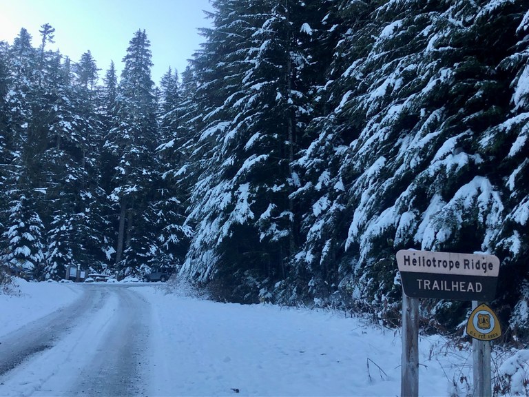 The sign along the road to the Heliotrope Ridge trailhead parking lot. Photo by David-K.
