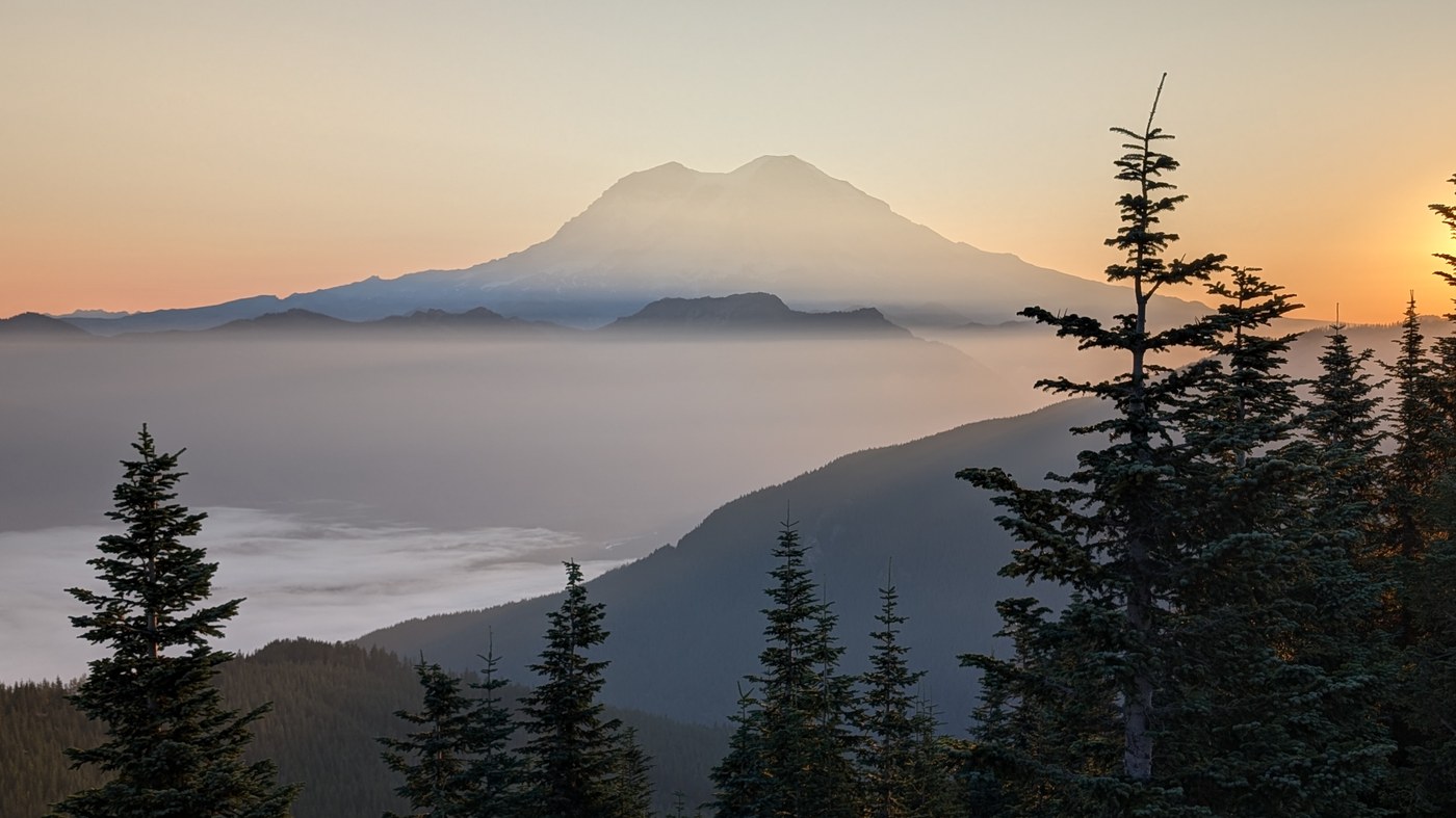 Silhouette of evergreen trees and Mount Rainier in a sunset sky