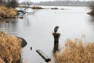 Hiker Headlines: #LoveLocalTrails giveaway, North Cascades permit fee changes, Forest road hazards