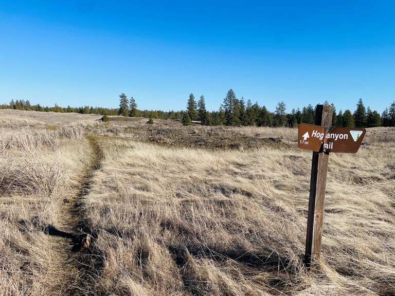 Hog Canyon Trail sign on a grassy plain with the trail. Photo by trip reporter TrailKat.