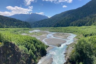 How WTA and public lands keep water clean for wildlife and people