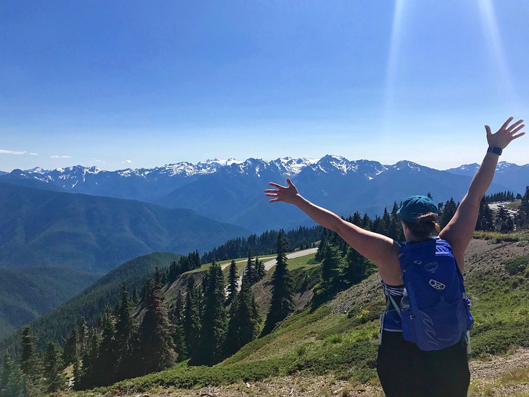 hurrican ridge valerie Pherson.jpg