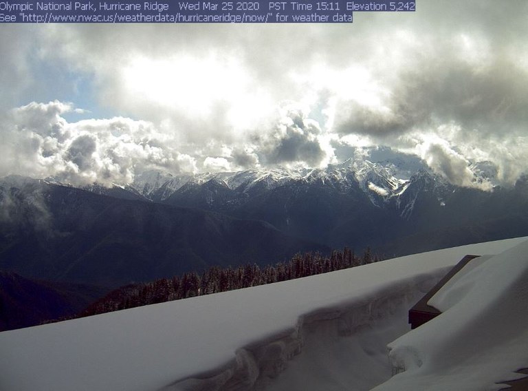 Hurricane Ridge webcam Hurricane Ridge webcam