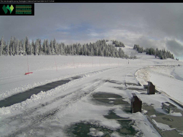 Screenshot of the webcam at the Hurricane Ridge parking lot in Olympic National Park. Photo courtesy of the National Park Service.