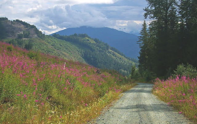 A sustainable road system is key for hikers and other trail users to reach trailheads. Photo by Kim Brown of the Illabot Creek road.