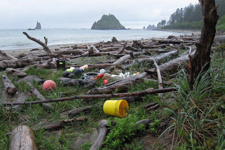 img4847_KelsieDonleycott.jpg img4847_KelsieDonleycott.jpg