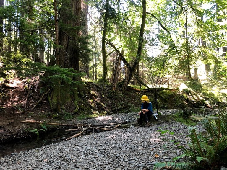 IMG_0479.jpg IMG_0479.jpg