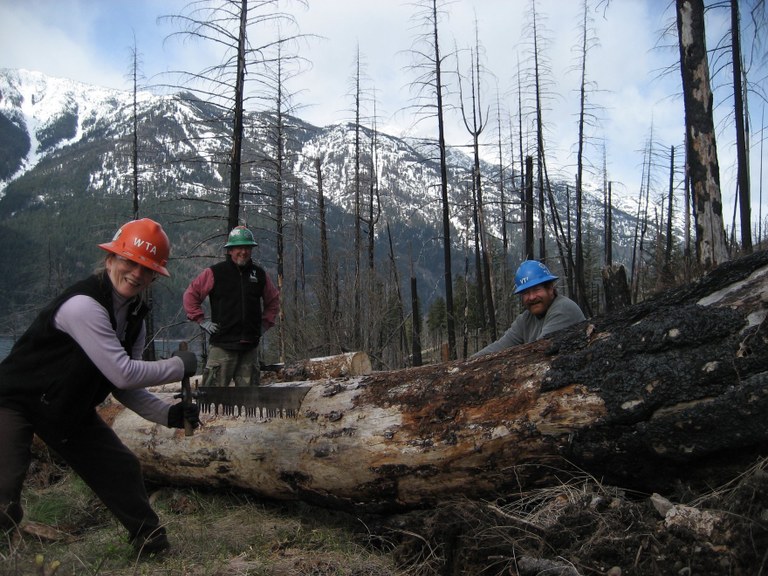 Pat Limberg (in orange hat) works to clear a log using a crosscut saw on a backcountry volunteer trip. Pat Limberg and other volunteers use saws to clear trails in the backcountry.