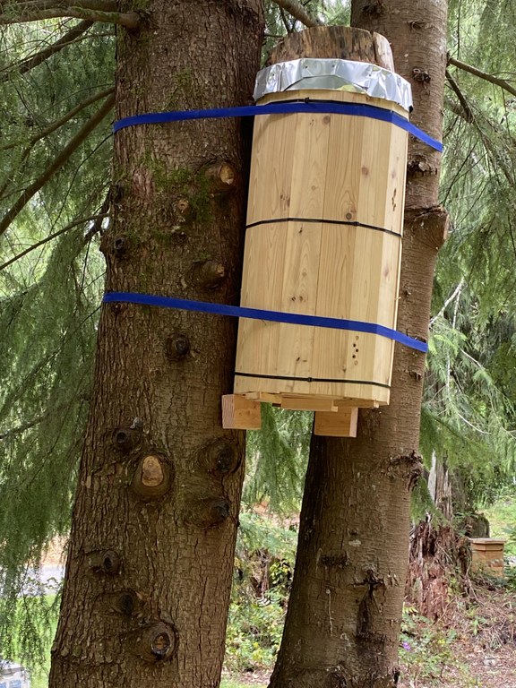 Sandra's bee hive Sandra's bee hive