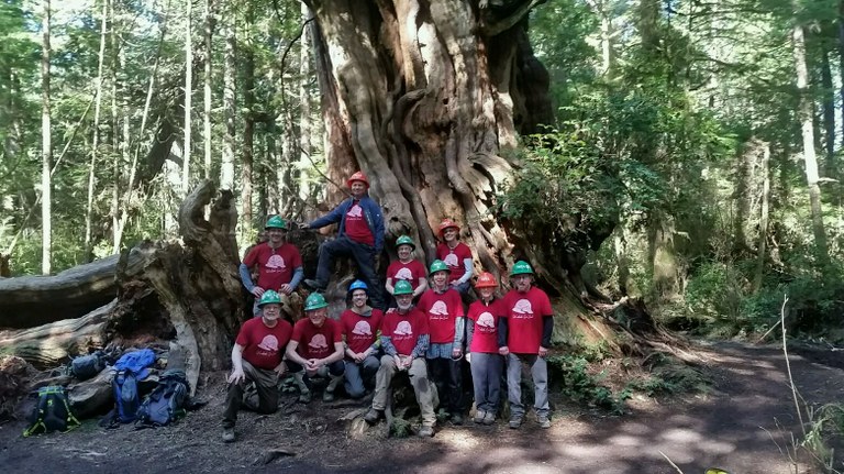 Big Tree Cedar trail Kalaloch crew 2019
