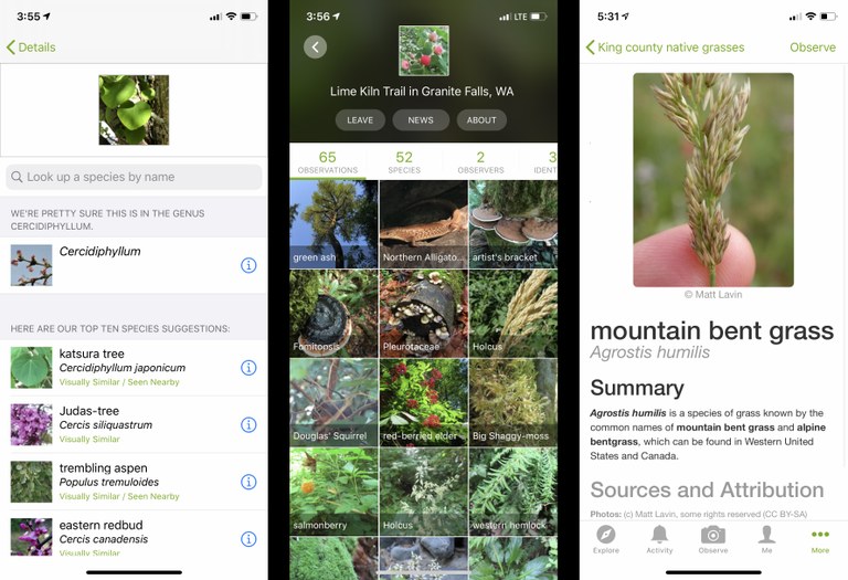 Screenshots of iNaturalist app. 