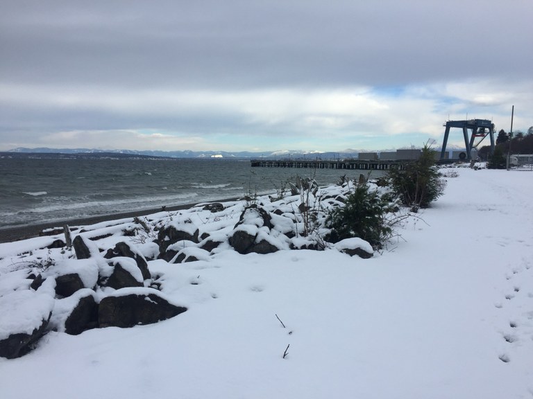 Japanese Gulch by MarianneW.jpeg