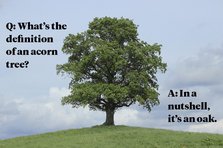 Q: What's the definition of an acorn tree? A: In a nutshell, it’s an oak.