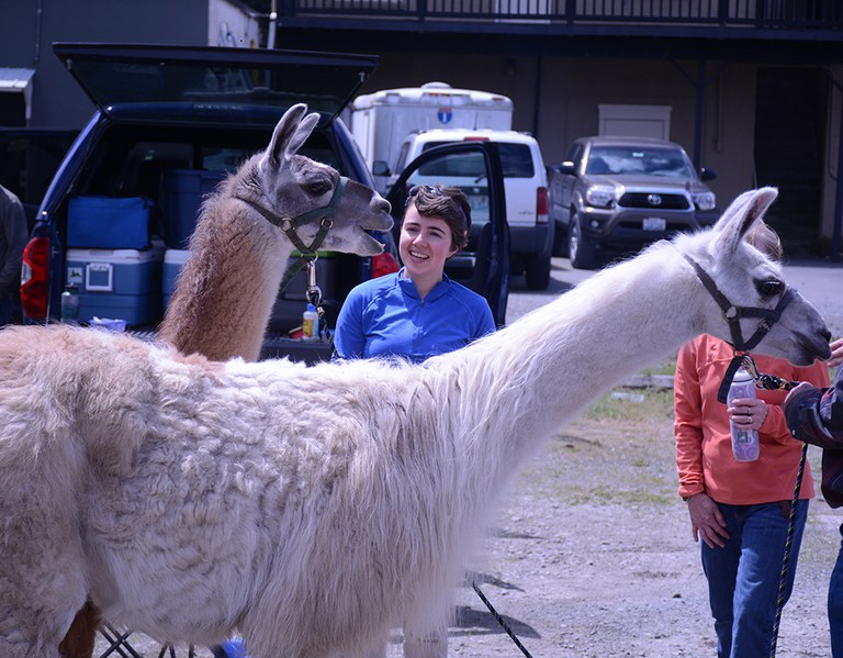 julia-and-a-llama_anna-roth.jpg julia-and-a-llama_anna-roth.jpg