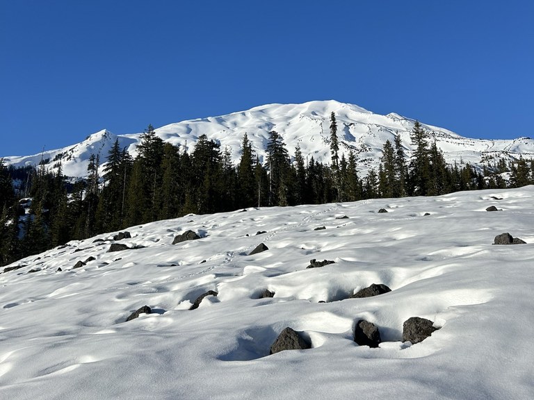 View of a snow-capped Mount St. Helens from the June Lake snowshoe trail. Photo by trip reporter drewthielen. 