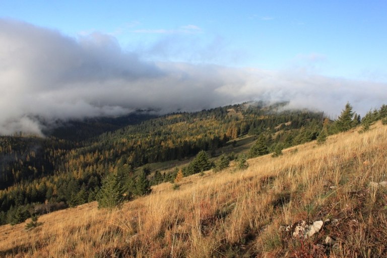 Kettle Crest by Holley Weiler.jpeg Kettle Crest by Holley Weiler.jpeg