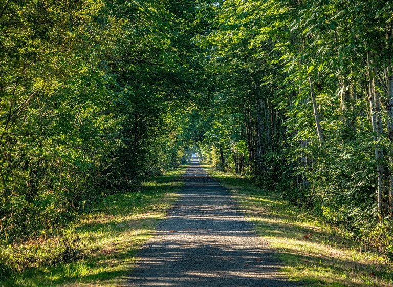 king county parks.jpeg