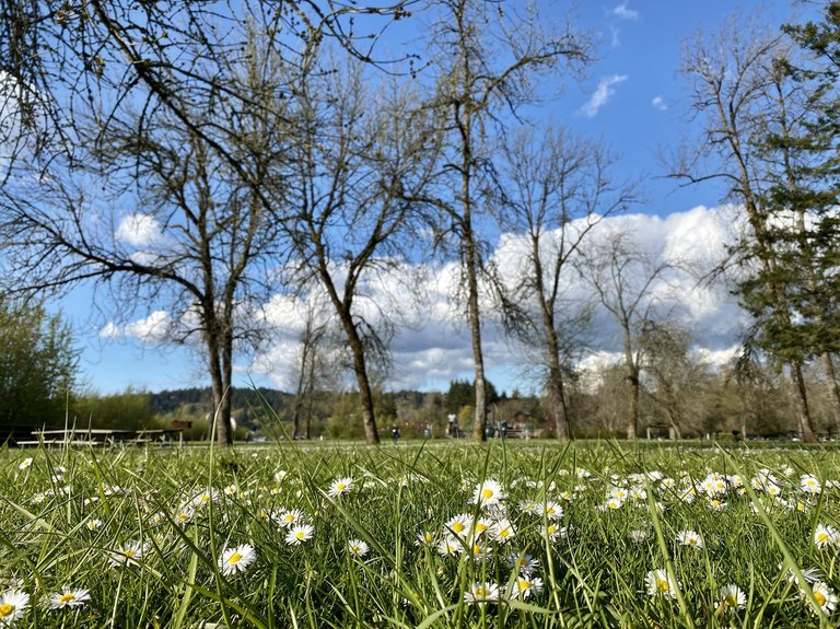 Lake Sammamish State Park