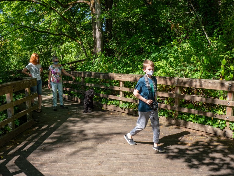 Children walk on boardwalk with trees on either side.